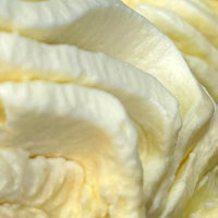 Sorbette de Piña